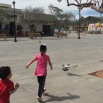 San Jose del Cabo Historic District Walking Tour - The Practical Side: What You Should Know