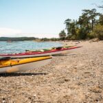 San Juan Island: 3-h Griffin Bay Tour - What to Expect During the Tour