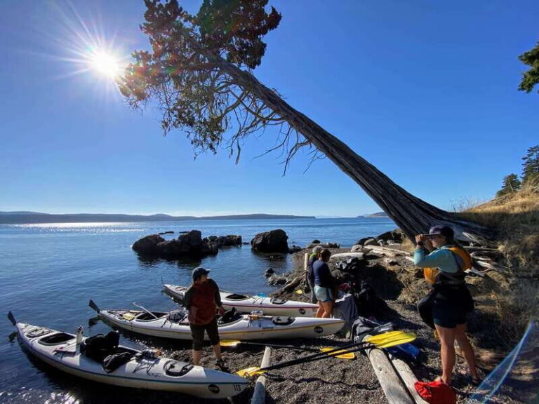 San Juan Islands: 3 Day Kayak and Camping Adventure - An In-Depth Look at the San Juan Islands Kayak and Camping Tour
