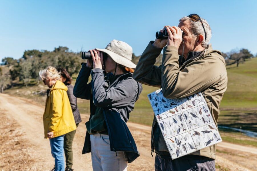 San Luis Obispo: Santa Lucia Guided Nature Tour - Key Points
