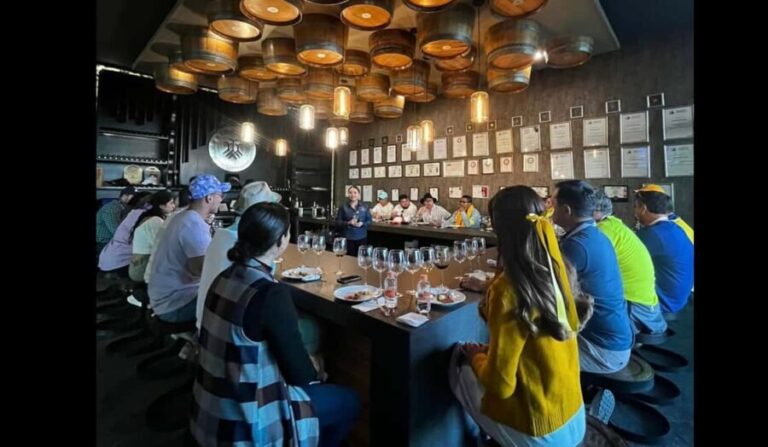 San Miguel Allende: Guanajuato Wine Route vineyard tour - Who Should Consider This Tour?