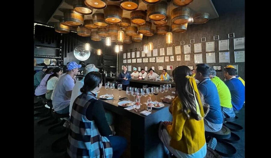 San Miguel Allende: Guanajuato Wine Route vineyard tour - Who Should Consider This Tour?