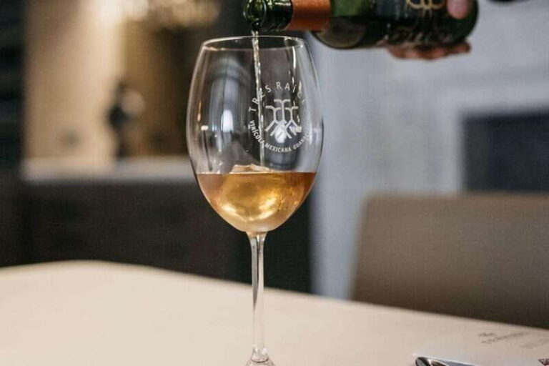 San Miguel de Allende: 7-Course Luxury Menu & Wine Pairing - The Itinerary Breakdown