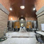 San Miguel de Allende: A Journey Through Vineyards - Is It Worth The Price?