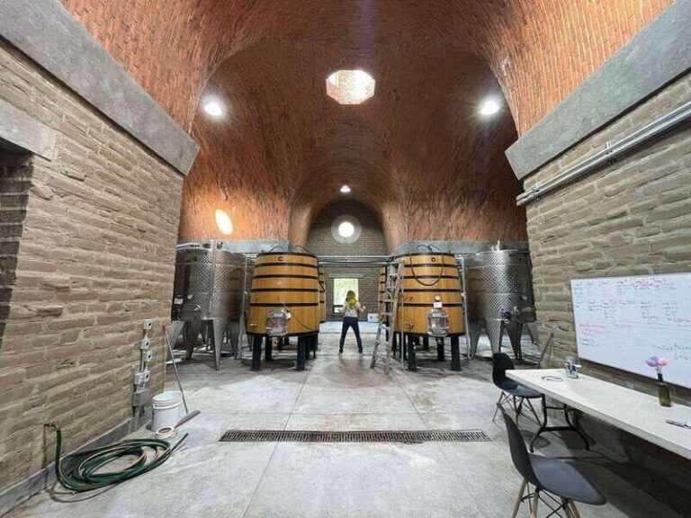 San Miguel de Allende: A Journey Through Vineyards - Is It Worth The Price?