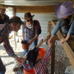 San Miguel de Allende: Full-Day Ranch Adventure - The Practicalities: Price, Duration, and Logistics