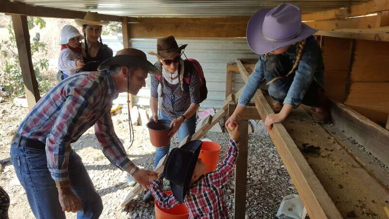 San Miguel de Allende: Full-Day Ranch Adventure - The Practicalities: Price, Duration, and Logistics