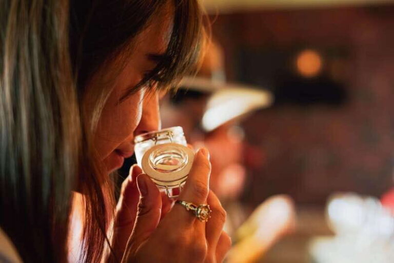 San Miguel de Allende: Independence Valley Wine Route - The Value of the Experience