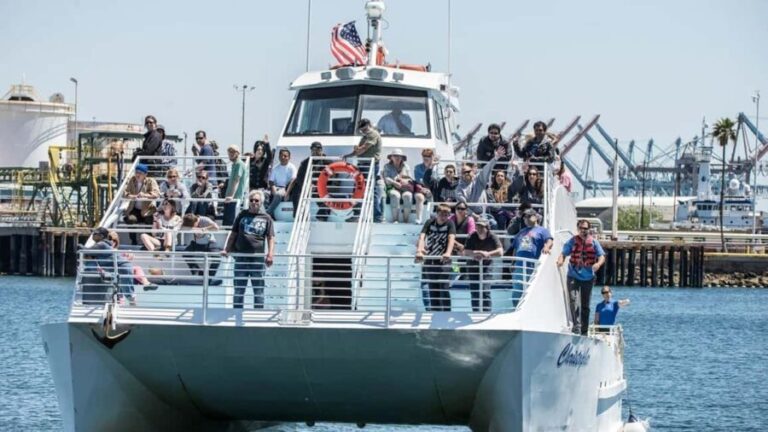 San Pedro: West Harbor LA Dolphin & Whale Watching Cruise - Frequently Asked Questions
