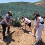 San Sebastian del Oeste: Tequila Tasting and Coffee Tour - What Makes This Tour Stand Out