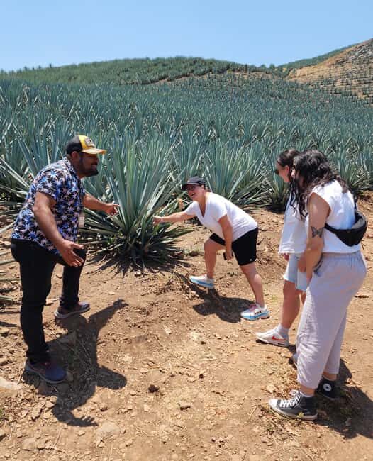 San Sebastian del Oeste: Tequila Tasting and Coffee Tour - What Makes This Tour Stand Out