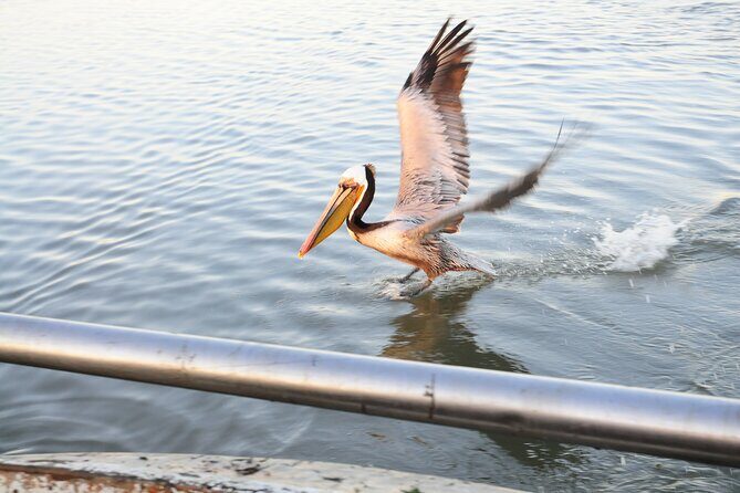 Sand Castles: The Remarkable Story of the San Francisco Embarcadero - The Downsides: What Could Be Better