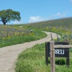 Santa Barbara: E-bike wine tour w/ transport, tasting, lunch - FAQs