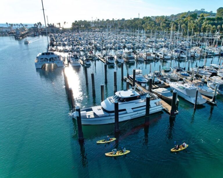 Santa Barbara Harbor: Wildlife Kayak Tour (2 Hours) - Practical Details and Considerations
