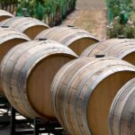 Santa Barbara: Wine Country Tour with Lunch - The Wine Tasting: What Makes It Special