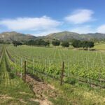 Santa Barbara Wine Tour Experience - Authentic and Boutique - How This Tour Compares in Value