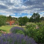 Santa Fe Botanical Garden General Admission Ticket - Value for Money and Final Thoughts