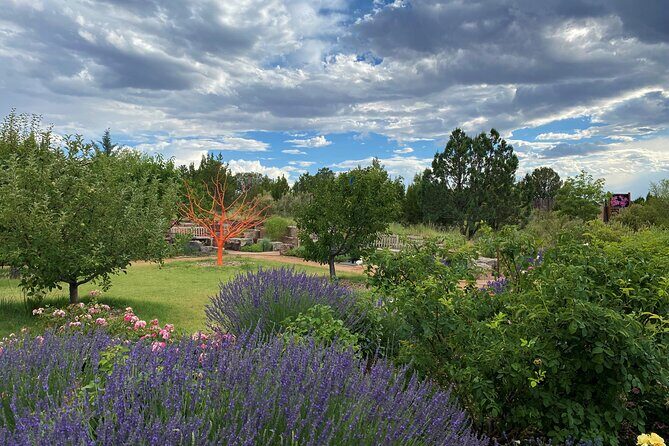 Santa Fe Botanical Garden General Admission Ticket - Value for Money and Final Thoughts
