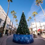 Santa Monica Holiday Donut Adventure and Walking Food Tour - Authentic Voices from the Tour