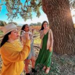 Santa Ynez: Private Wine Tour - Lunch in the Santa Ynez Valley