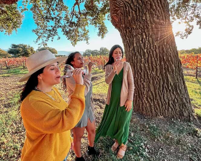 Santa Ynez: Private Wine Tour - Lunch in the Santa Ynez Valley