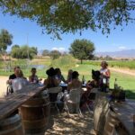Santa Ynez Valley Private Wine Tours from Santa Barbara - Analyzing the Price and Overall Value