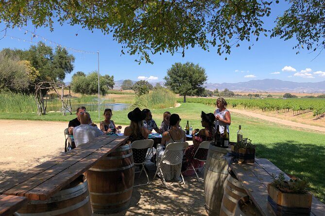 Santa Ynez Valley Private Wine Tours from Santa Barbara - Analyzing the Price and Overall Value