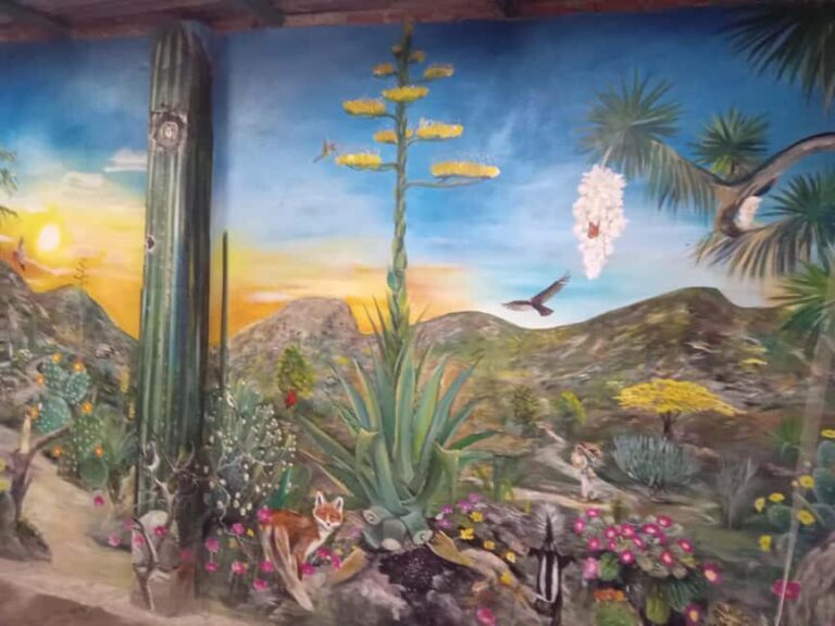 Santiago de Anaya, Hidalgo: Food tour. Experience among stoves. - The Journey Begins: Convenient Pickup and Transportation