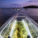 Sarasota - Clear Kayak LED Night Glass Bottom Tour - The Guides and Their Role