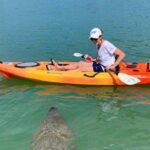 Sarasota Guided Mangrove Tunnel Kayak Tour - The Value of This Experience
