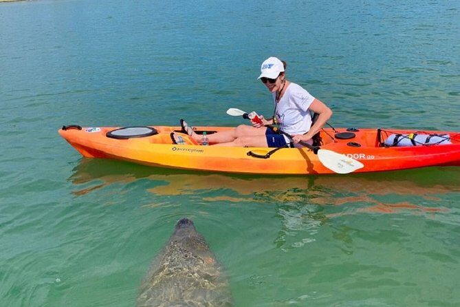 Sarasota Guided Mangrove Tunnel Kayak Tour - The Value of This Experience