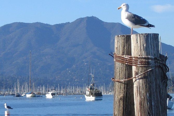 Sausalito Ferry from Pier 41, San Francisco - Practical Details to Help You Plan