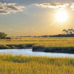 Savannah Coastal Dolphin Eco Tour - Final Thoughts