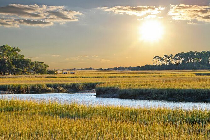 Savannah Coastal Dolphin Eco Tour - Final Thoughts