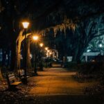 Savannah Spirits Echoes of the Past Ghost Private Tour - What to Expect from the Tour