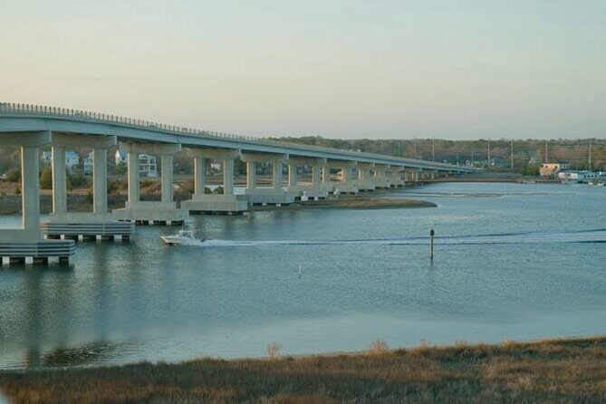 Savor the Sea: Holistic Health Walking Tour in Surf City - The Price & Value