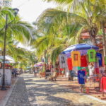 Sayulita and San Pancho Day Trip - Authenticity & Honest Feedback