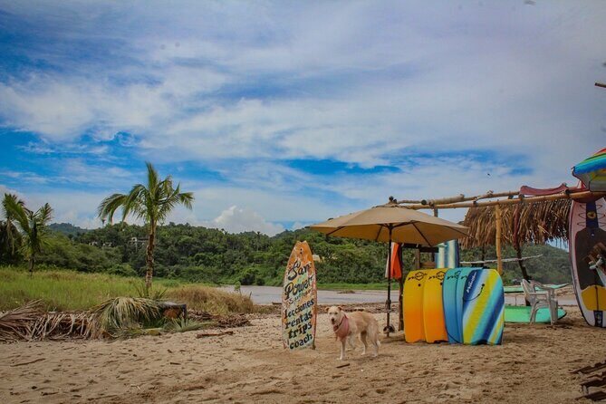 Sayulita and San Pancho Day Trip from Puerto Vallarta - The Itinerary Breakdown