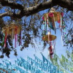 Sayulita: Guided Tour of the City - What’s Included and What’s Not