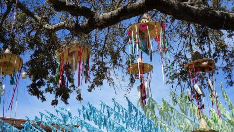 Sayulita: Guided Tour of the City - What’s Included and What’s Not