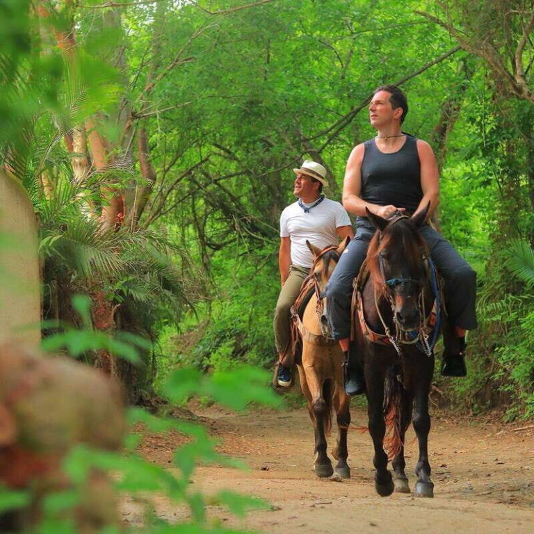 Sayulita: Horseback Riding Tour - The Horses and the Guides — Heart of the Experience