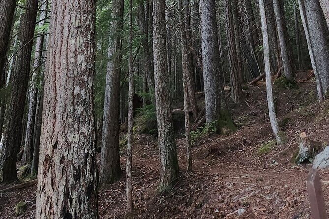 Scavenger Hunt Adventure with Geocaching in Whistler - The Experience in Detail