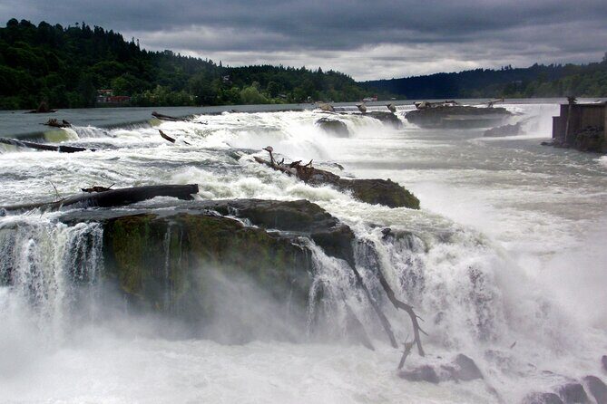 Scenic 2-Hour River Cruise to the Majestic Willamette Falls! - Frequently Asked Questions
