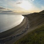 Scenic Coast and Wildlife Tour - The Experience from Others’ Perspectives