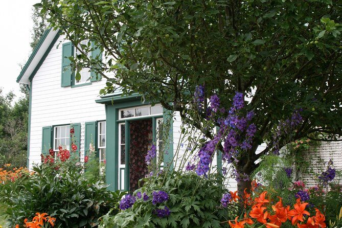 Scenic North Shore and Anne 5 Passengers only - FAQs