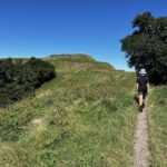 Scenic Short Hike Tour - Papamoa Hills and McLaren Falls - What Travelers Say: Authentic Perspectives