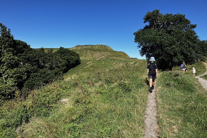 Scenic Short Hike Tour - Papamoa Hills and McLaren Falls - What Travelers Say: Authentic Perspectives