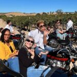Scenic Sidecar Vineyard Adventure San Luis Obispo - The Experience at Wolff Vineyards