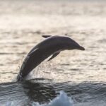Scenic Sunset Cruise from Historic Johns Pass, Free Beer and Wine - The Drinks and Atmosphere