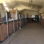 Scottsdale Horseback Riding and Horse Country Estate Tour - The Worth of the Price